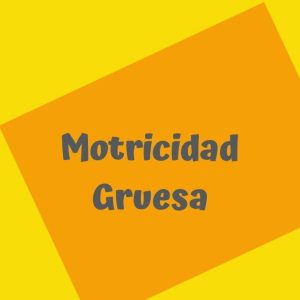 Motricidad Gruesa