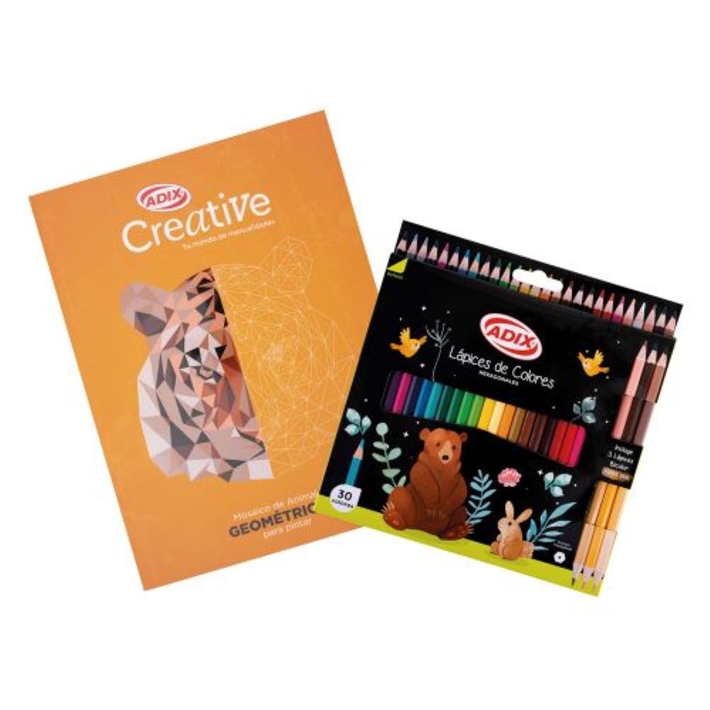 Set Libro Mosaico + Lápices de Colores