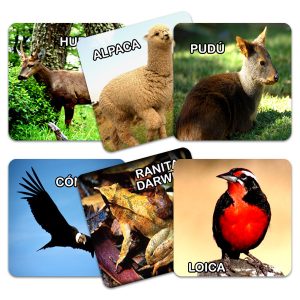 Memorice Fauna Chilena