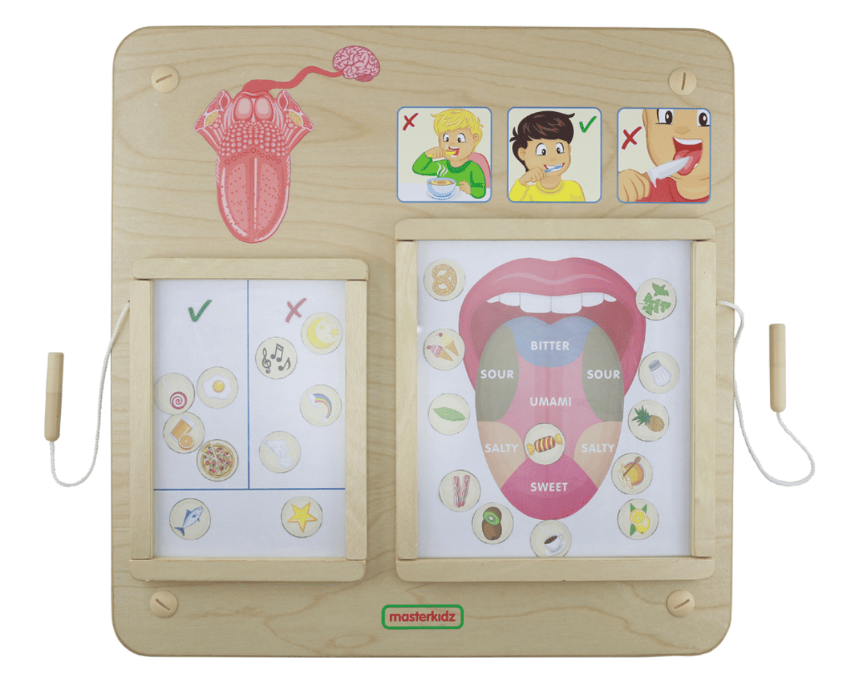 Sentido del Gusto - Tablero de pared