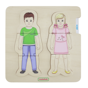 Encaje por Capas del Cuerpo Humano