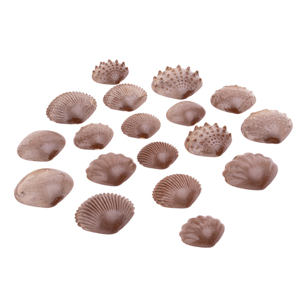 Set de Conchas con Texturas 36u - Imagen 4